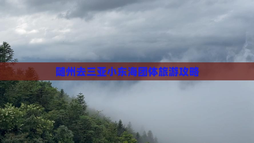 随州去三亚小东海团体旅游