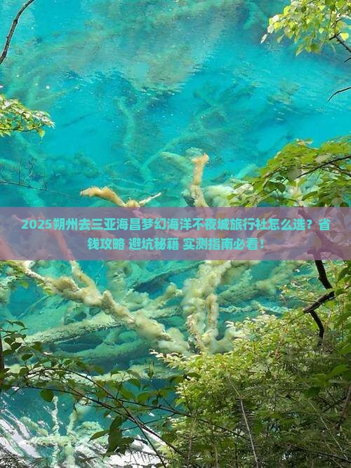朔州去三亚海昌梦幻海洋不夜城旅行社