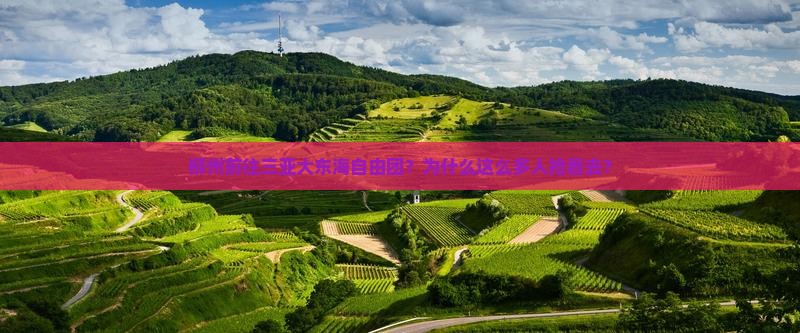 柳州前往三亚大东海自由团
