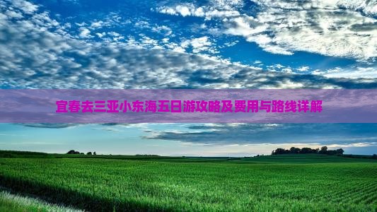 宜春去三亚小东海五日游