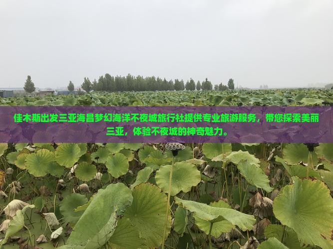 佳木斯出发三亚海昌梦幻海洋不夜城旅行社