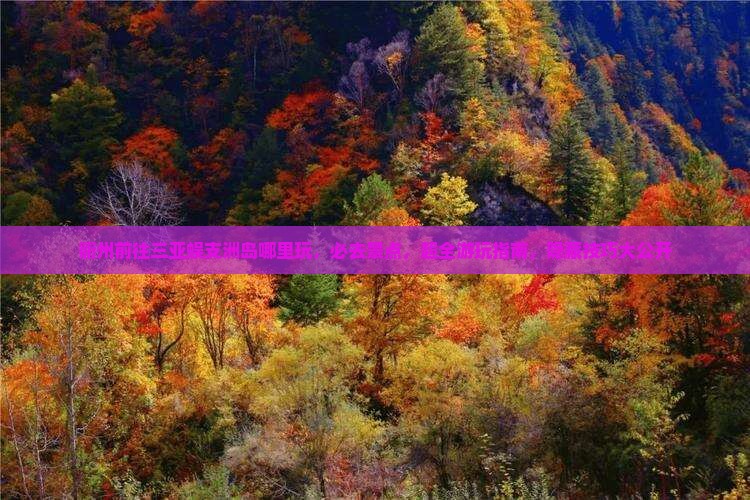 衢州前往三亚蜈支洲岛哪里玩