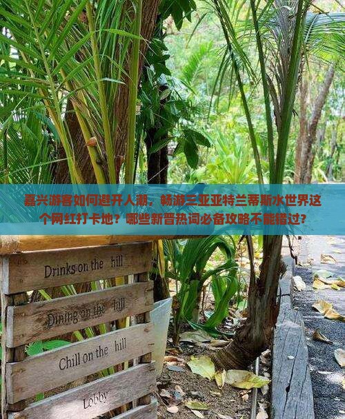 嘉兴游客如何避开人潮，畅游三亚亚特兰蒂斯水世界这个网红打卡地？哪些新晋热词必备攻略不能错过？