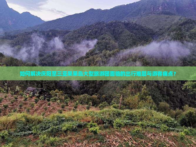 如何解决庆阳至三亚呆呆岛大型旅游团面临的出行难题与游客痛点？