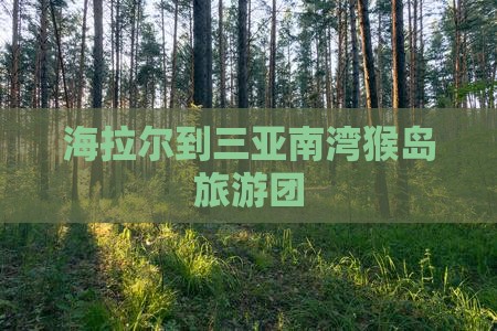 海拉尔到三亚南湾猴岛旅游团