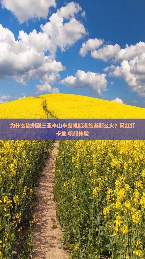 为什么钦州到三亚半山半岛帆船港旅游那么火？网红打卡地+帆船体验