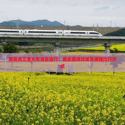 龙岩去三亚大东海自由行：最全路线攻略及便捷出行方式