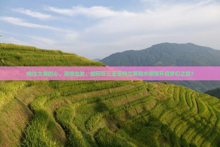 向往大海的心，清徐出发，如何在三亚亚特兰蒂斯水族馆开启梦幻之旅？