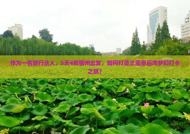 作为一名旅行达人，5天4夜梧州出发，如何打造三亚皇后湾梦幻打卡之旅？