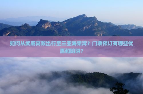 如何从武威高效出行至三亚海棠湾？门票预订有哪些优惠和陷阱？