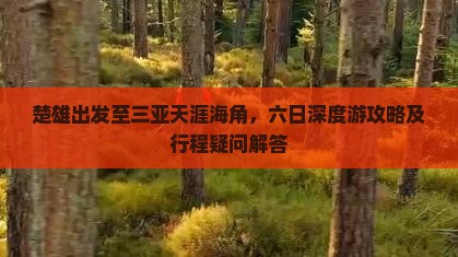 楚雄出发至三亚天涯海角，六日深度游攻略及行程疑问解答