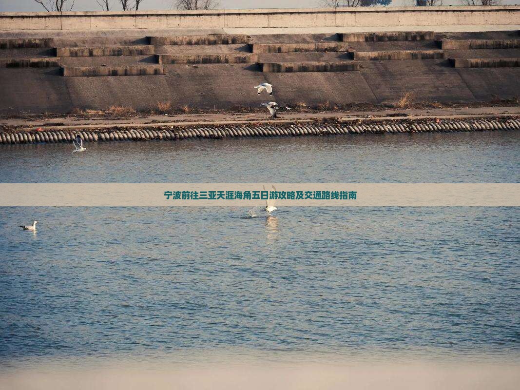 宁波前往三亚天涯海角五日游攻略及交通路线指南