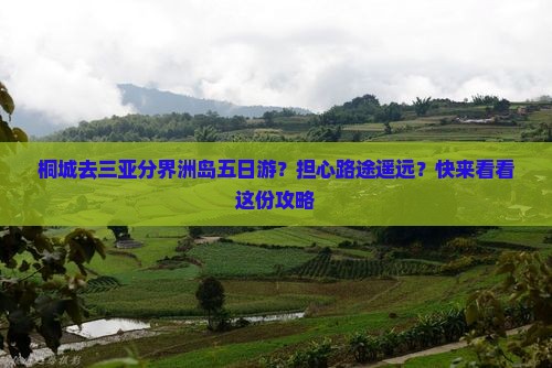 桐城去三亚分界洲岛五日游？担心路途遥远？快来看看这份攻略