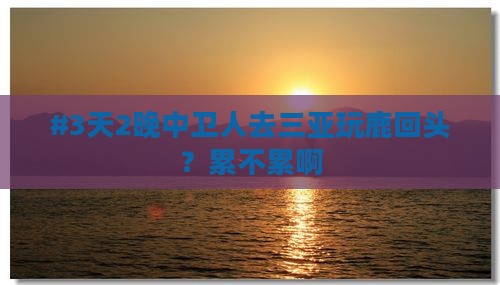 #3天2晚中卫人去三亚玩鹿回头？累不累啊