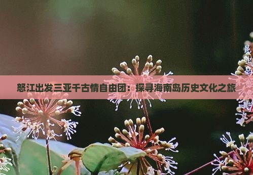 怒江出发三亚千古情自由团：探寻海南岛历史文化之旅