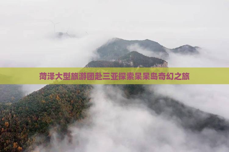 菏泽大型旅游团赴三亚探索呆呆岛奇幻之旅