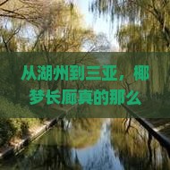 从湖州到三亚，椰梦长廊真的那么值得一玩吗？