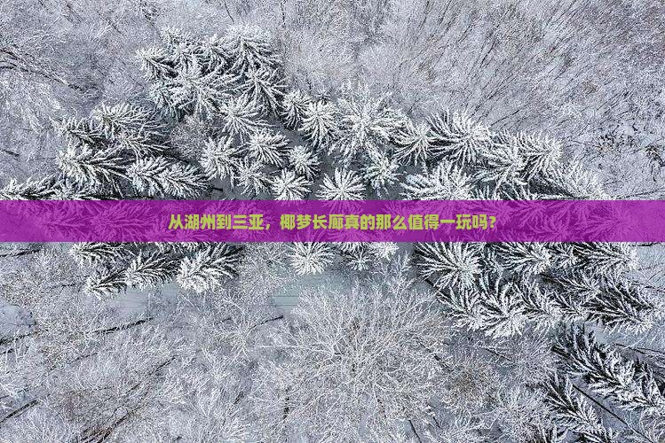 从湖州到三亚，椰梦长廊真的那么值得一玩吗？