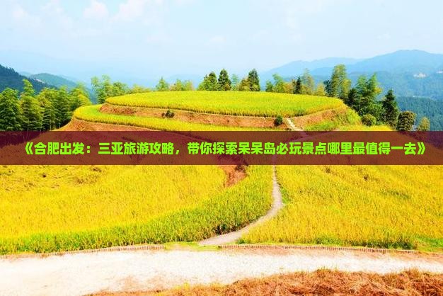《合肥出发：三亚旅游攻略，带你探索呆呆岛必玩景点哪里最值得一去》
