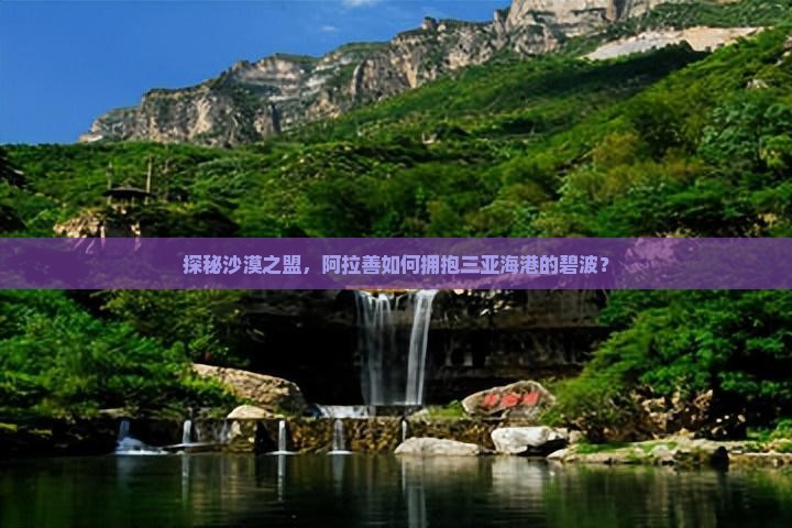 探秘沙漠之盟，阿拉善如何拥抱三亚海港的碧波？