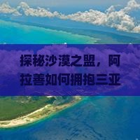 探秘沙漠之盟，阿拉善如何拥抱三亚海港的碧波？