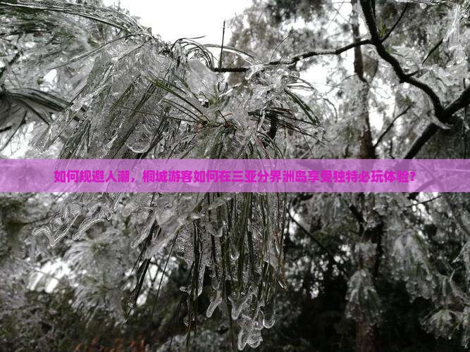 如何规避人潮，桐城游客如何在三亚分界洲岛享受独特必玩体验？