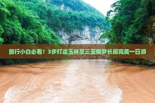 旅行小白必看！3步打造玉林至三亚椰梦长廊完美一日游