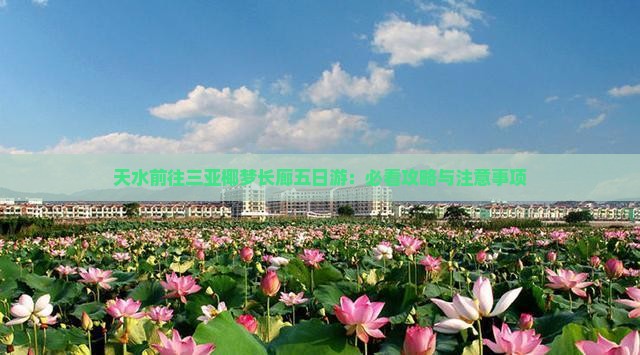 天水前往三亚椰梦长廊五日游：必看攻略与注意事项