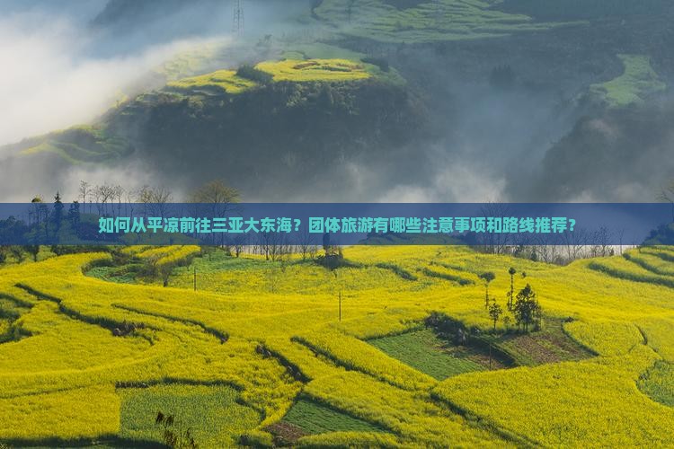 如何从平凉前往三亚大东海？团体旅游有哪些注意事项和路线推荐？