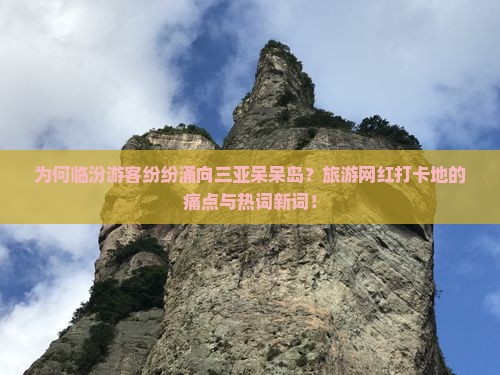 为何临汾游客纷纷涌向三亚呆呆岛？旅游网红打卡地的痛点与热词新词！