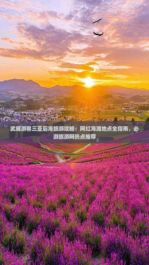 武威游客三亚后海旅游攻略：网红海滩地点全指南，必游旅游网热点推荐