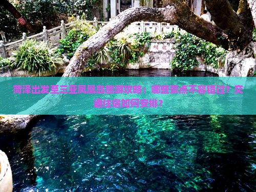 菏泽出发至三亚凤凰岛旅游攻略：哪些景点不容错过？交通住宿如何安排？