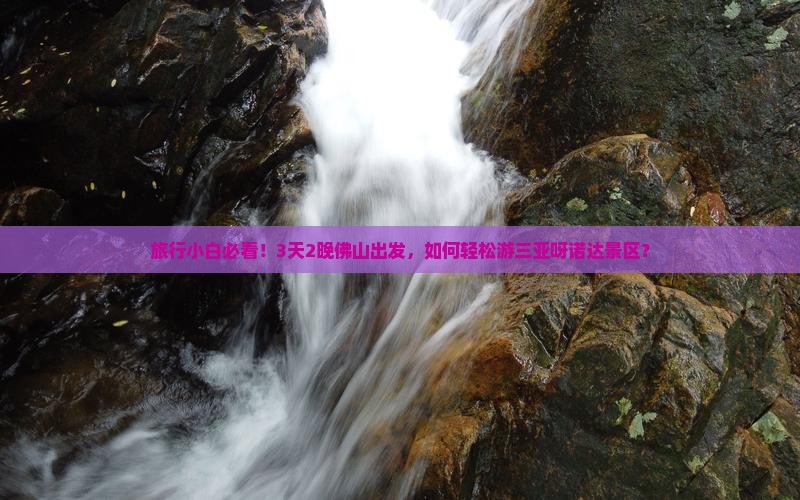 旅行小白必看！3天2晚佛山出发，如何轻松游三亚呀诺达景区？