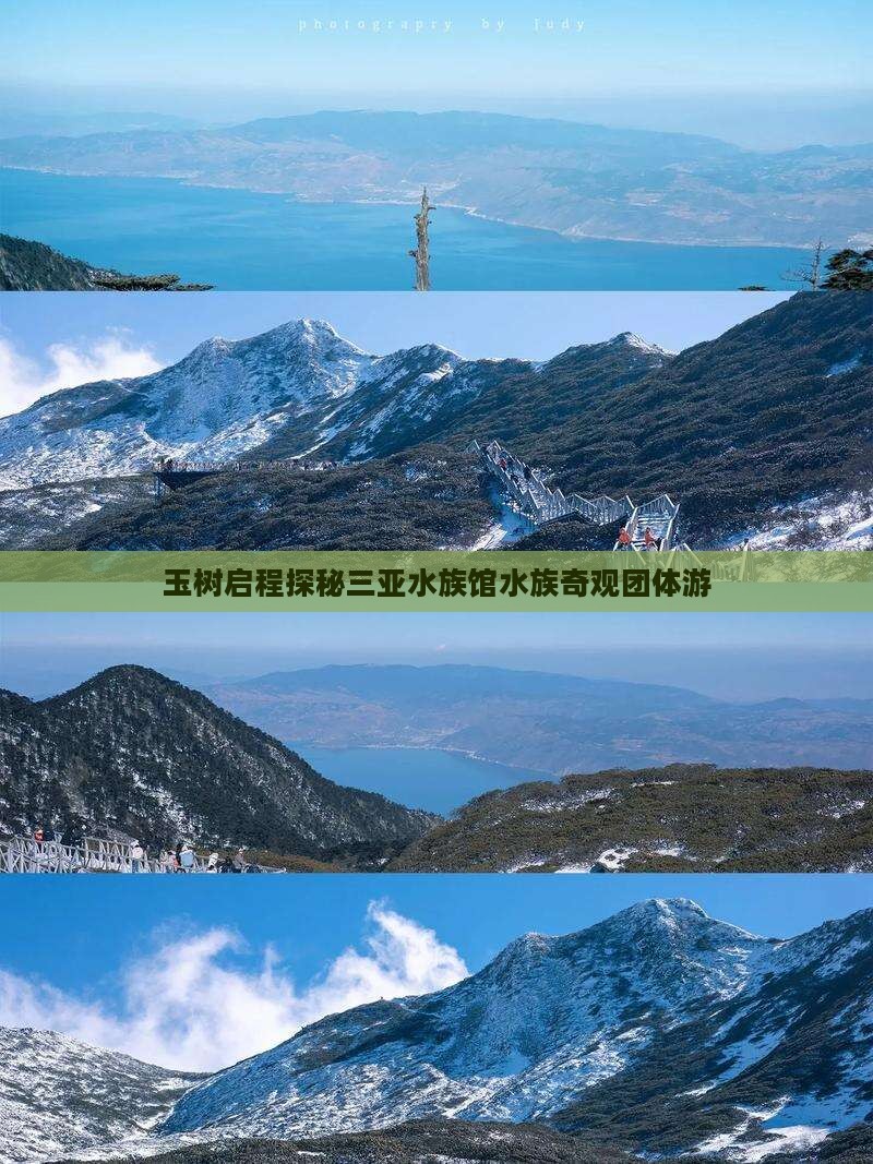 玉树启程探秘三亚水族馆水族奇观团体游