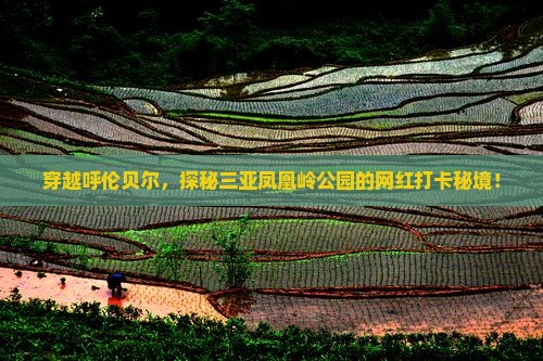 穿越呼伦贝尔，探秘三亚凤凰岭公园的网红打卡秘境！