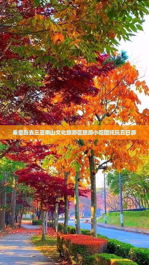 秦皇岛去三亚南山文化旅游区旅游小吃团纯玩五日游