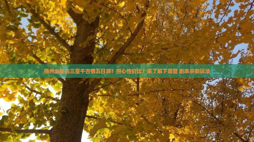 梧州出发去三亚千古情五日游？担心性价比？来了解下露营+剧本杀新玩法