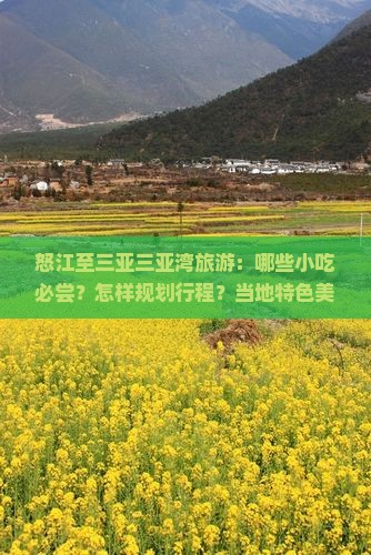 怒江至三亚三亚湾旅游：哪些小吃必尝？怎样规划行程？当地特色美食推荐？