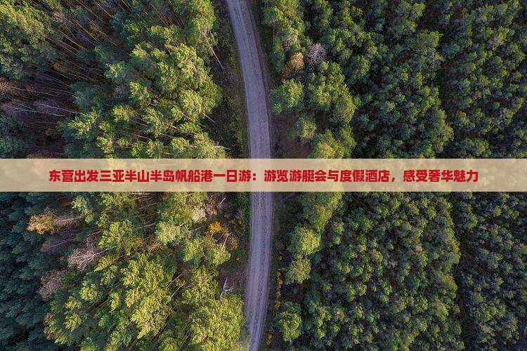 东营出发三亚半山半岛帆船港一日游：游览游艇会与度假酒店，感受奢华魅力