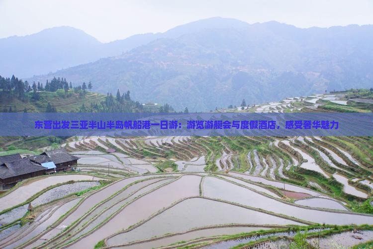 东营出发三亚半山半岛帆船港一日游：游览游艇会与度假酒店，感受奢华魅力