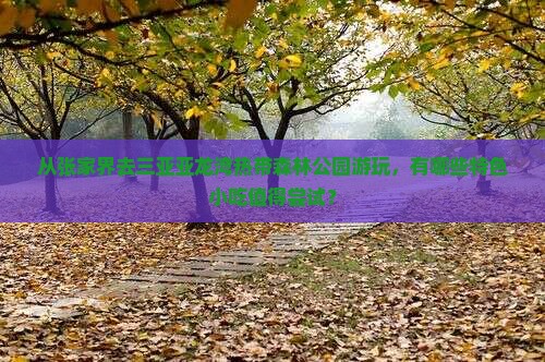 从张家界去三亚亚龙湾热带森林公园游玩，有哪些特色小吃值得尝试？