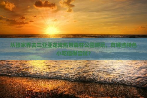 从张家界去三亚亚龙湾热带森林公园游玩，有哪些特色小吃值得尝试？