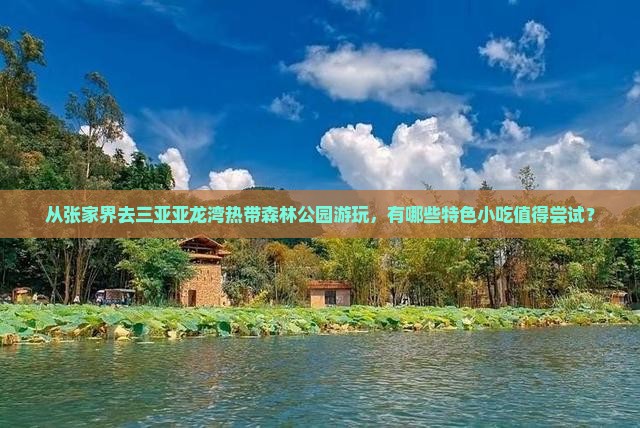 从张家界去三亚亚龙湾热带森林公园游玩，有哪些特色小吃值得尝试？