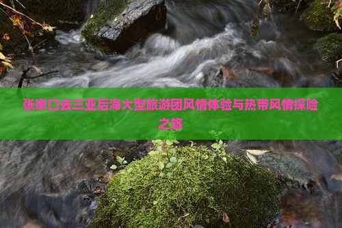 张家口去三亚后海大型旅游团风情体验与热带风情探险之旅