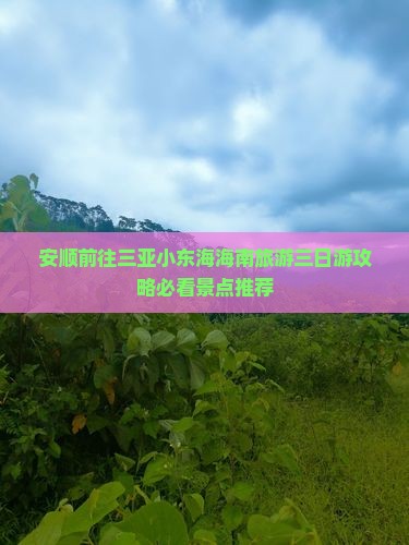安顺前往三亚小东海海南旅游三日游攻略必看景点推荐