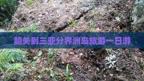 韶关到三亚分界洲岛旅游一日游