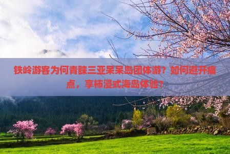 铁岭游客为何青睐三亚呆呆岛团体游？如何避开痛点，享柿浸式海岛体验？