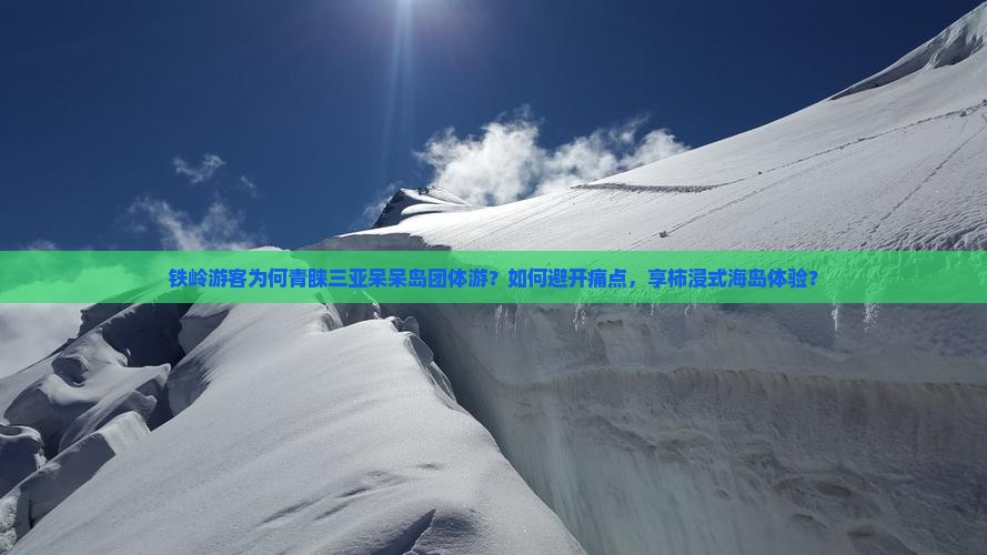 铁岭游客为何青睐三亚呆呆岛团体游？如何避开痛点，享柿浸式海岛体验？
