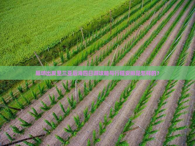 廊坊出发至三亚后海四日游攻略与行程安排是怎样的？