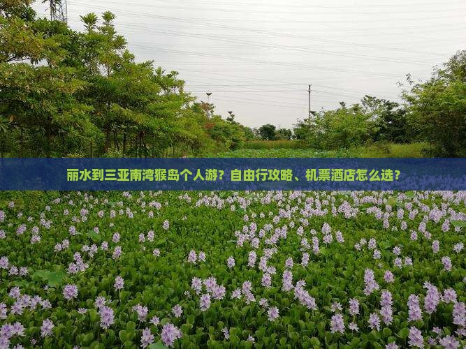 丽水到三亚南湾猴岛个人游？自由行攻略、机票酒店怎么选？